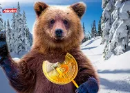 Ayı piyasası nedir, ne kadar sürer? Kripto paralar ve Bitcoin ayı sezonuna mı girdi? Ayı tuzağı nedir?