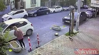 İstanbul’da kedisinin tıraşını beğenmeyen kadın veteriner teknikerine saldırdı
