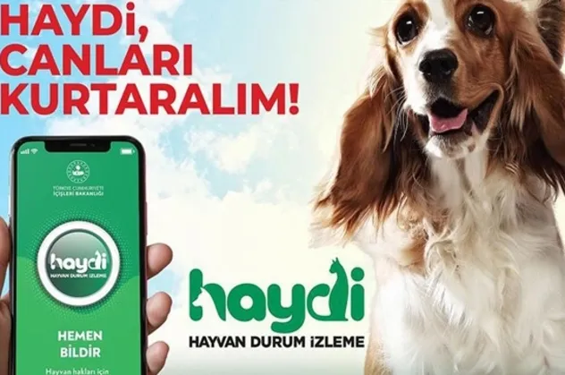 Haydi uygulaması nedir? Nasıl indirilir? EGM Haydi uygulamasından hayvan polisi nasıl çağrılır?