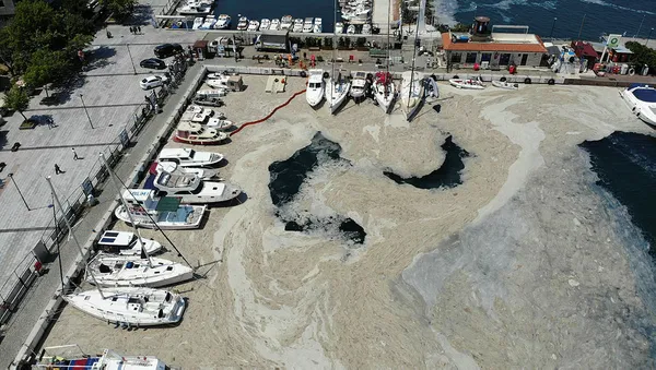 Son dakika: Çevre ve Şehircilik Bakanı Murat Kurum müsilajdaki son durumu açıkladı!-2