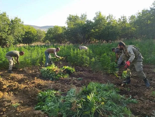 Son dakika: Diyarbakır'da uyuşturucu operasyonu: 1 ton 183 kilogram esrar ele geçirildi-4