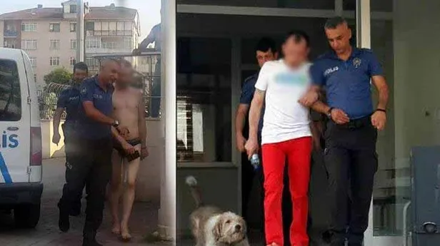 Kocaeli'de akla ziyan görüntü! Sokakta çıplak gezdi-2