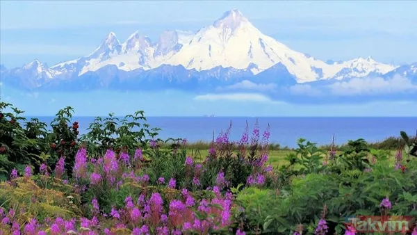 Alaska nerede ve hangi ülkeye ait? Ruslar Alaska'yı ne zaman sattı? Alaska haritası ve coğrafi konumu - 14