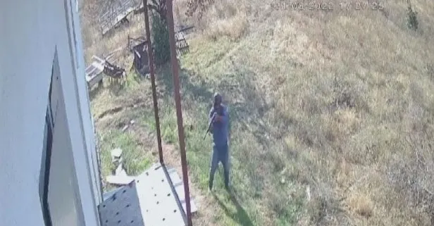 Çiftlikte dehşet saçtılar: 2 köpeği tüfekle katledip, 2’sini de zehirlediler