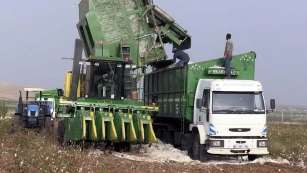 Valilikten üreticilere pamuğun temiz toplanması uyarısı-1
