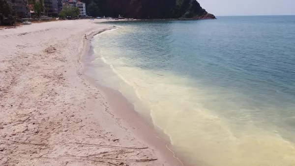 karadenizde-musilaj-panigi-inceleme-baslatildi-renk-degisiminin-polen-kaynakli-oldugu-tespit-edildi-1654860303843.jpg Karadeniz'de müsilaj paniği! İnceleme başlatıldı renk değişiminin polen kaynaklı olduğu tespit edildi-5