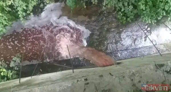 Kocaeli Gölcük ve Karamürsel'de kurban kanları derelere aktı! Suyun rengi kırmızıya döndü - 11