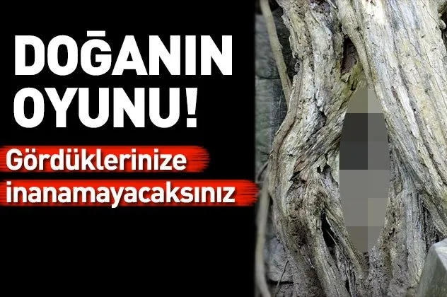 Doğanın acımasız yüzü!