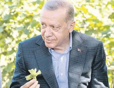 Bay Kemal sen korkaksın