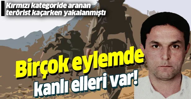 Kırmızı kategoride aranan PKK'lı Sabri Dal kaçarken yakalanmıştı! Terörist ile ilgili çarpıcı detaylar ortaya çıktı!