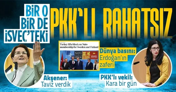 Türkiye’nin NATO’daki zaferi bir Meral Akşener’i bir de İsveç’teki PKK’lı vekil Kakabaveh’i rahatsız etti!