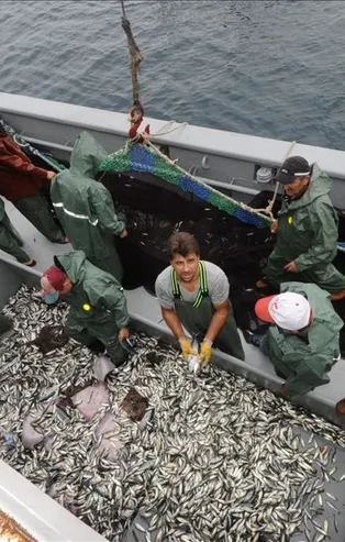 Balık avı sezonu umutla başlıyor