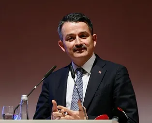 Son dakika: Bakan Pakdemirli açıkladı: Orman köylüsüne 202 milyon lira kaynak