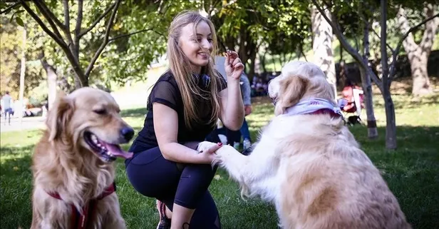 Aileyi yok eden tehlike: Çocuğun yerini köpek aldı