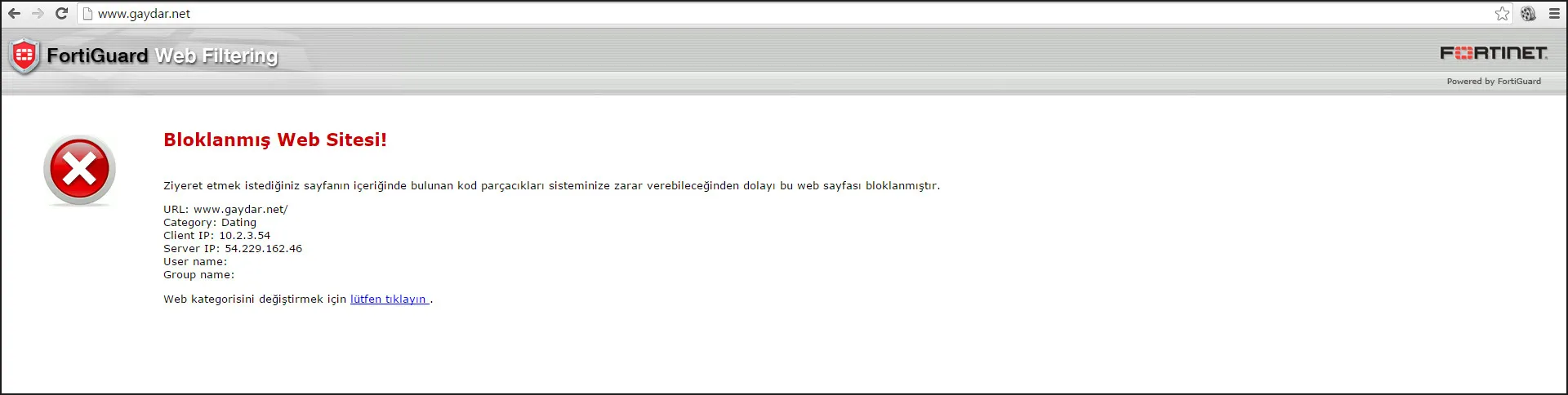FETÖ'cü Asım Yıldırım eşcinsel çıktı!-5