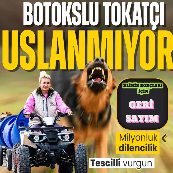 Yine Köpek Velisi yine istismar! Buket Özgünlü takipçilerinden 1.4 milyon TL dilendi... Zimmete geçirilen bağışlar MASAK raporunda