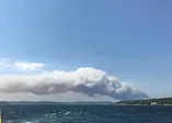 Son dakika: Çanakkale'de orman yangını!