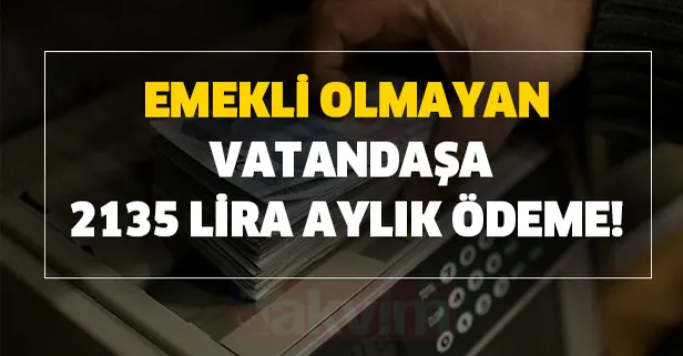 İki ödeme sonucunda aylık 2135 lira ödeme almak mümkün