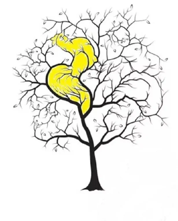 agactaki-5-hayvani-gorduysen-hafizan-celik-gibi-cikiyor-1712999442245.jpg IQ testi: Ağaçtaki 5 hayvanı görebildiysen hafızan çelik gibi çıkıyor-4