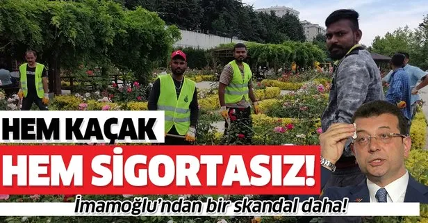CHP’li İstanbul Büyükşehir Belediyesi kaçak ve sigortasız işçi çalıştırıyor