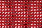 Zeka testi: 51'lerin içindeki 15 ve 57 nerede? 743 kişi denedi, 18'i bulabildi