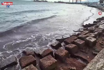 Tekirdağ kıyılarında kızıl yosun istilası