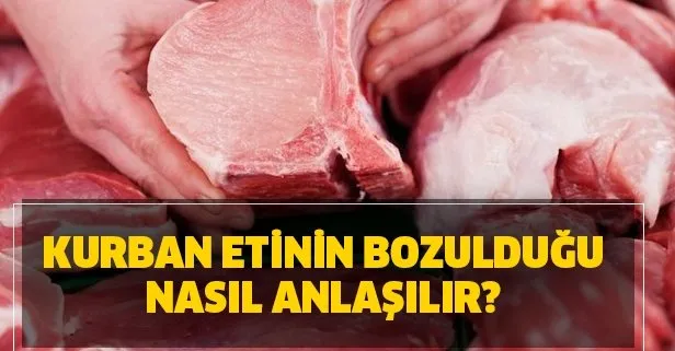 kurban eti bozulursa nasil anlasilir
