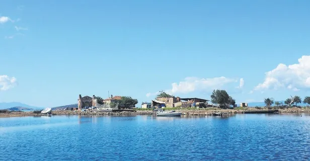 Hülya Avşar'ın Çiçek Adası'nı almadığı ve reklam için uydurduğu konuşuluyor