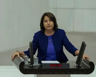 Türk askerine işgalci diyen terör destekçisi HDPliye tokat gibi cevap!