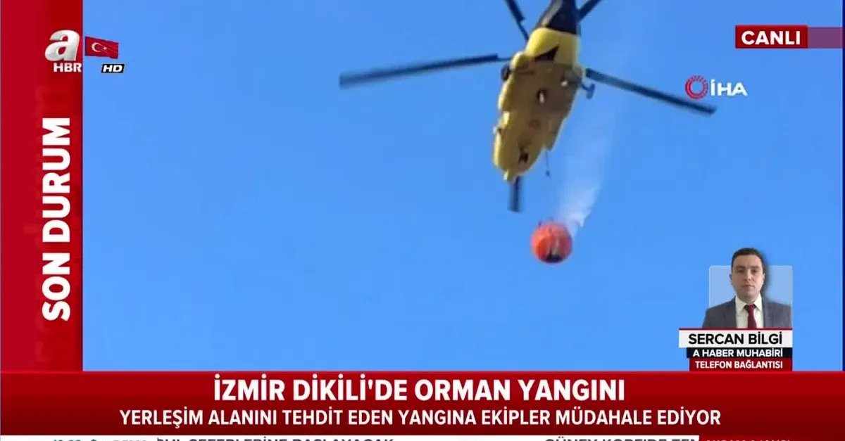 İzmir Dikili'de orman yangını