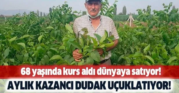 Aylik Kazanci Dudak Ucuklatiyor Hayatta Hicbir Sey Icin Gec Degil 68 Yasinda Kurs Aldi Dunyaya Satiyor Takvim