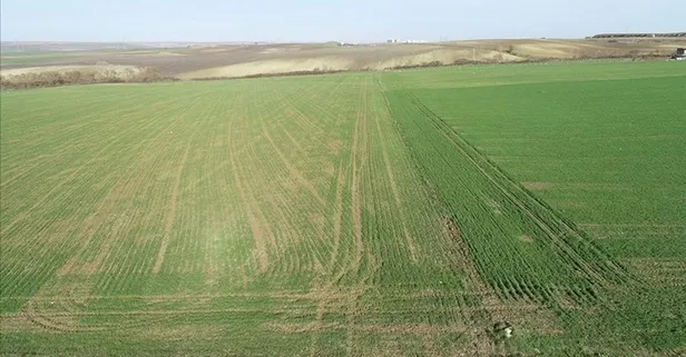 Niğde’de yerli üretime destek!