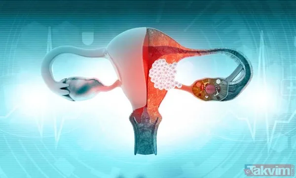 Bilim insanları tek yöntemle tarihe gömdü! Kelliğin dermanı sonunda bulundu! 40 yıl düşünsek aklımıza gelmez meğer... - 3