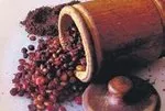 Sumak insülin dengesini koruyor