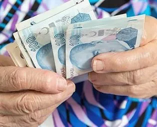 Yaşlıya engelliye her ay maaş