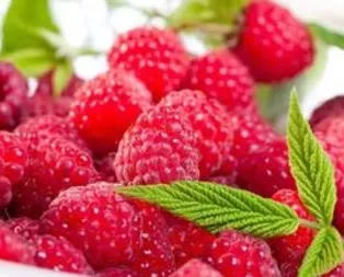 Kilolara ahududu darbesi!