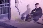 İş yerinden ölü kediler çıkmıştı! O cani için karar verildi