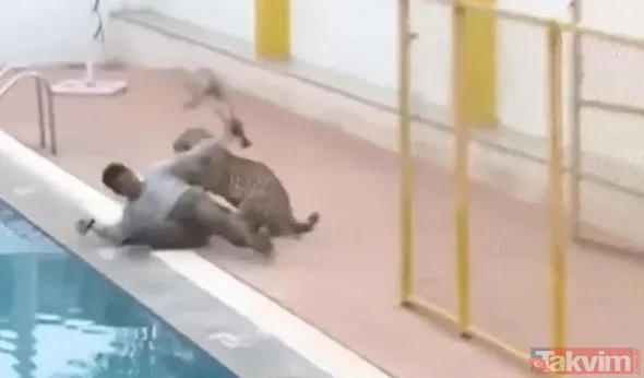 Sadece fotoğraf çektirmek istedi genç kız hayatının şokunu yaşadı! Bir anda üzerine atladı ne var yok... - 7