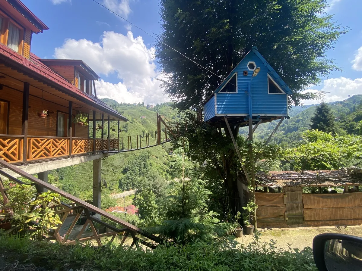 rizedans-1783281096921.jpg Rize'de iki kardeş çocukluk hayalini gerçekleştirdi: Ağaç eve asma köprüyle ulaşıyorlar-3