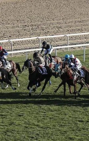 Son dakika: Ertelenen at yarışları ne zaman başlayacak? Bakanlıktan açıklama geldi