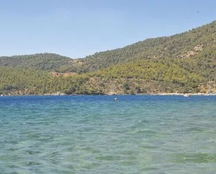 Hazine avcıları!