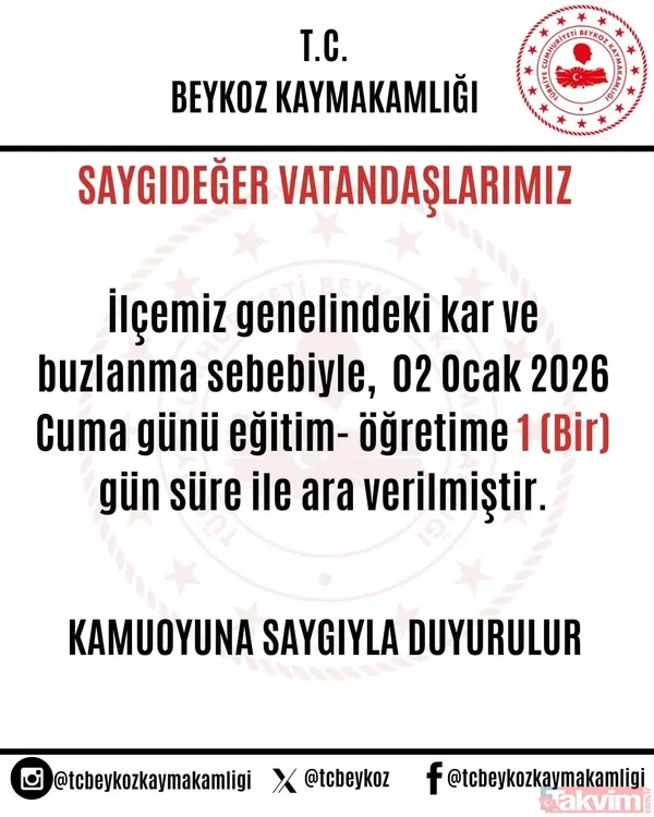 İstanbul'da 5 ilçede eğitime ara! Valilikler peş peşe açıkladı: Şehir şehir kar tatili raporu - 5
