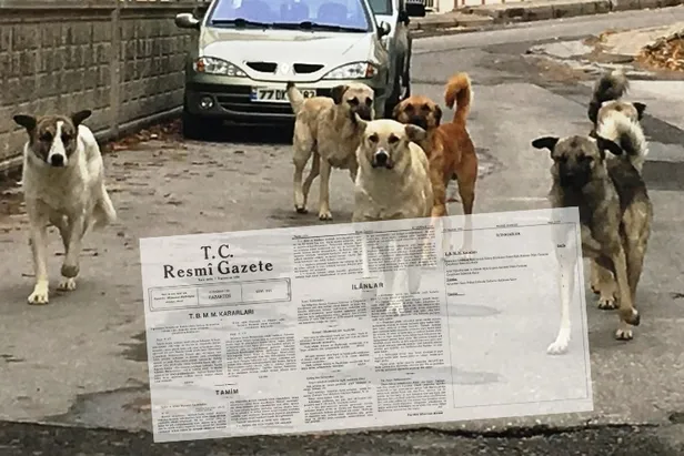 hayvanperestler-ve-mama-lobisi-iyi-okusun-ataturk-donemindeki-resmi-gazetede-basibos-kopek-karari-belediyeler-1670365888265.jpg