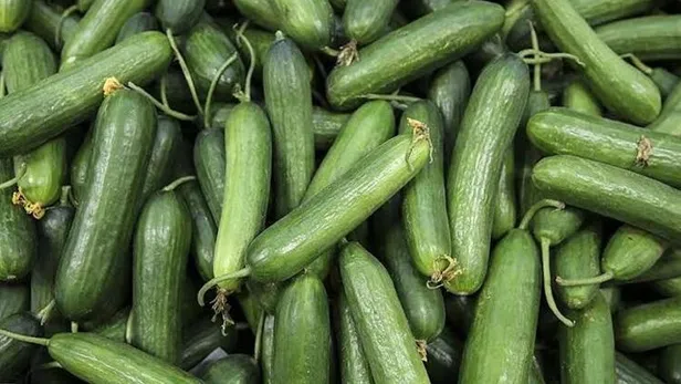Gıdada üretici ve market fiyatları arasındaki uçurum sürüyor!-3