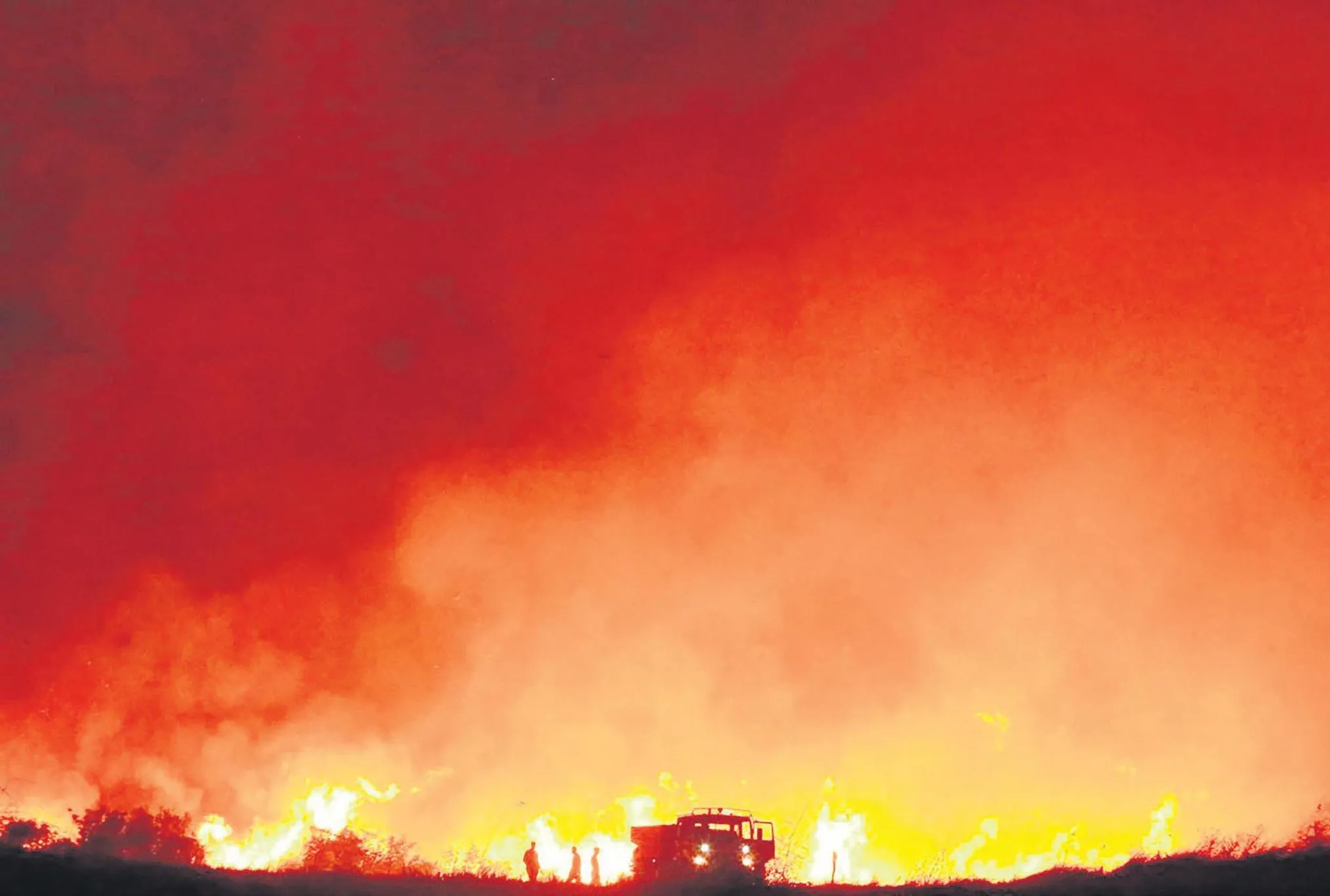Beni bırak kendini kurtar