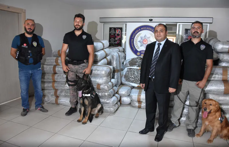 Milas'ta uyuşturucu şebekesine operasyon: 1,5 ton Skunk ele geçirildi - 4