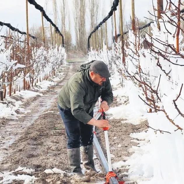 Zirai don fırsatçısına geçit yok