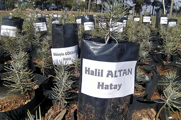 asrin-felaketinde-hayatini-kaybedenlerin-isimleri-fidanlarda-yasatilacak-1677583820256.jpg Asrın felaketinde hayatını kaybedenlerin isimleri fidanlarda yaşatılacak!-4