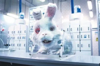 Aralarında Gamze Erçel ve Özlem Ada Şahin de var: Hayvan sevgileri 5 dakikada bitti-7