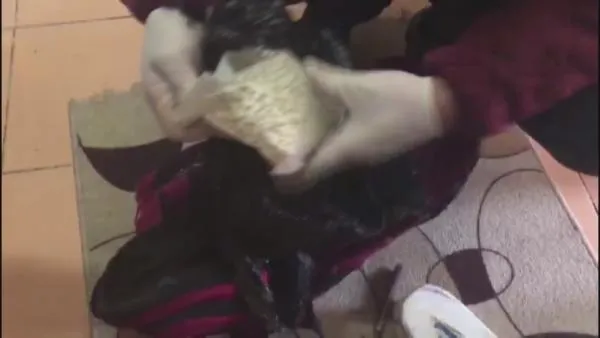 SON DAKİKA: Suriyeli uyuşturucu çetesine jandarma darbesi-4